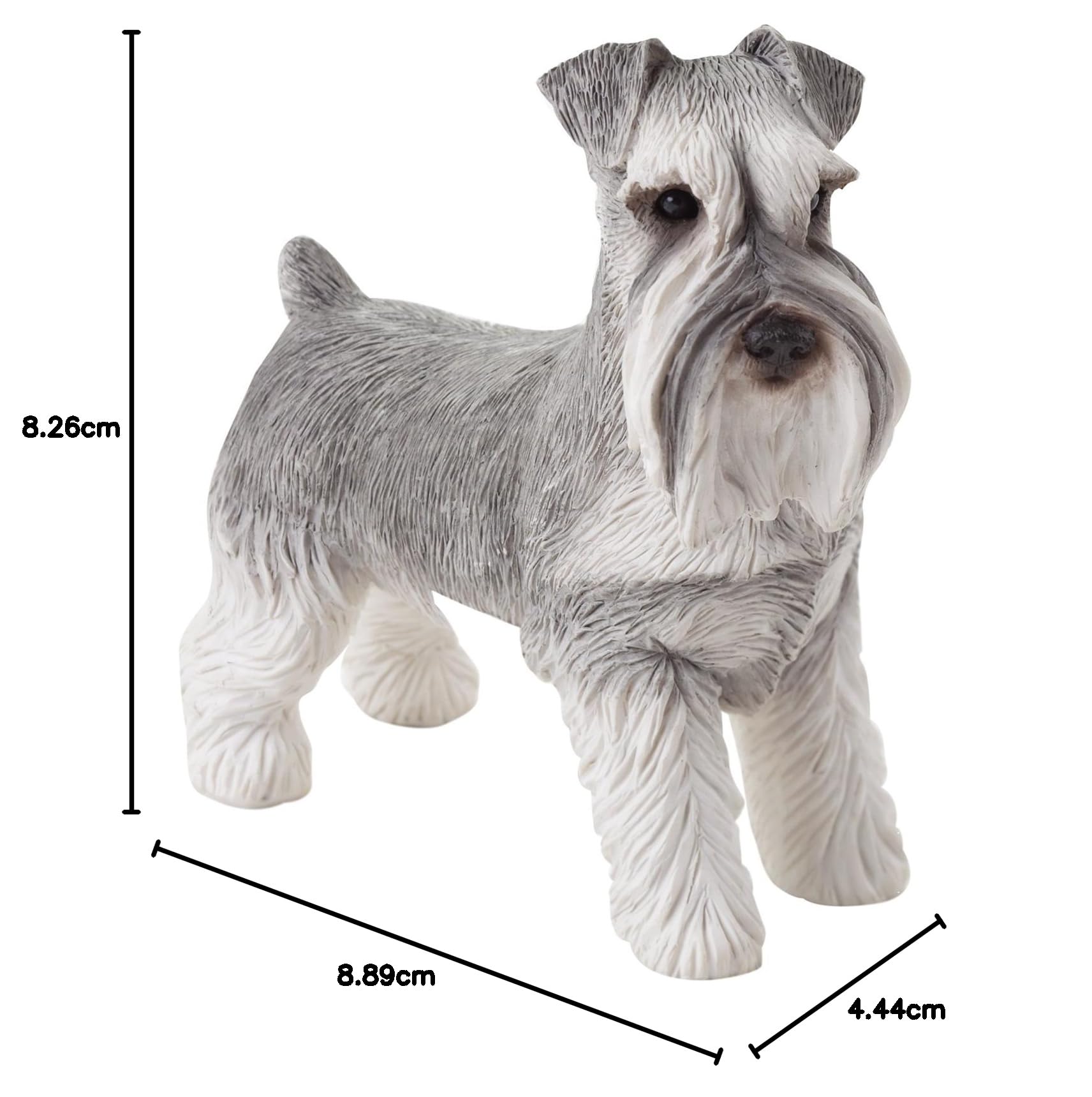 THE MINIATURE SCHNAUZER DVD付き THE MINIATURE SCHNAUZER DVD付き